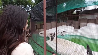 老公出轨怎么查微信聊天记录TMP0083 性感合租少妇的性高潮- 3D蜜桃成熟时 -