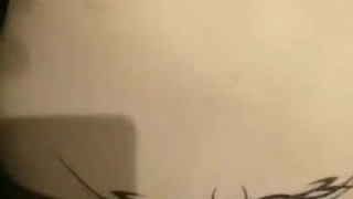 伪娘宝宝又发骚了.今天想吃大吉吧