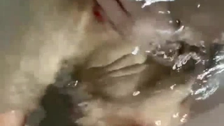 小巧玲珑的少女在丝袜里被肛交